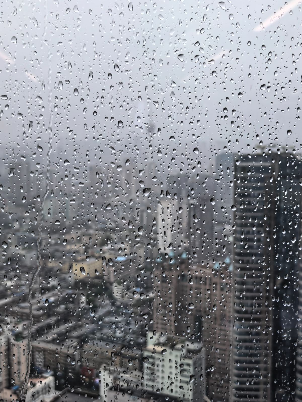 青羊区 实拍